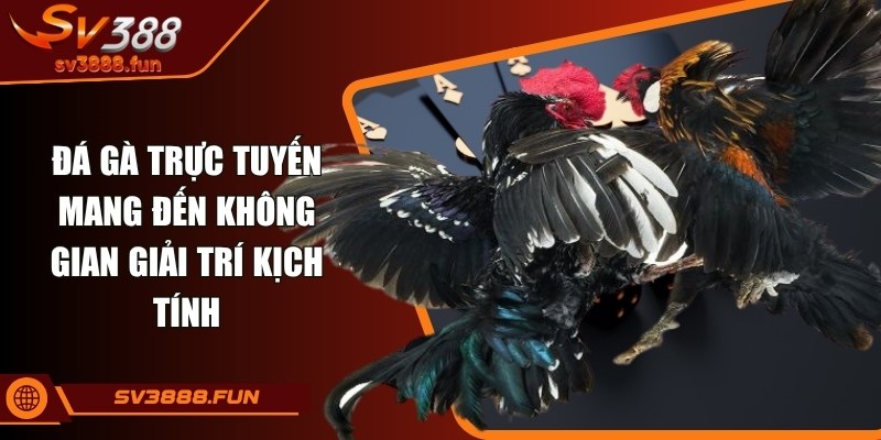 Đá gà trực tuyến mang đến không gian giải trí kịch tính