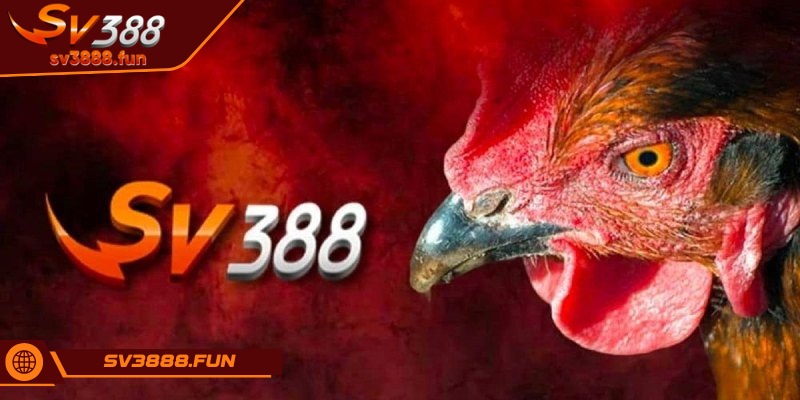 Giới thiệu 1 Giới thiệu đôi nét về sòng bạc giải trí uy tín