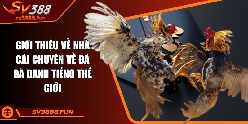 Giới thiệu về nhà cái chuyên về đá gà danh tiếng thế giới