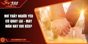 Mơ thấy người yêu cũ quay lại