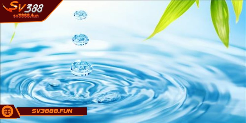 Mơ Thấy Nước Chảy Xiết - Dự Báo Điều Gì? Lành Hay Dữ 1 Mơ thấy nước chảy xiết báo điềm lành hay dữ?