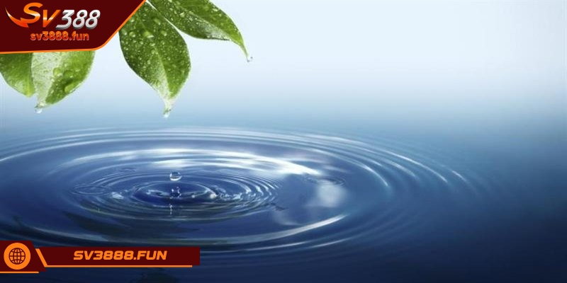 Giải mã giấc mơ thấy nước chảy xiết