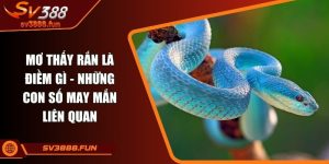 Mơ thấy rắn là điềm gì